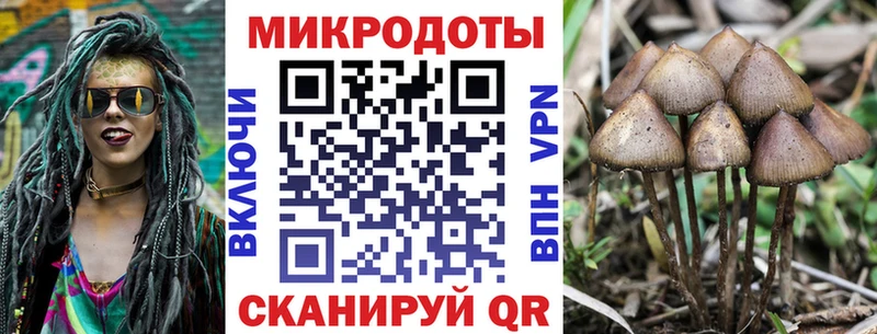 Псилоцибиновые грибы мухоморы  магазин  наркотиков  Суздаль 
