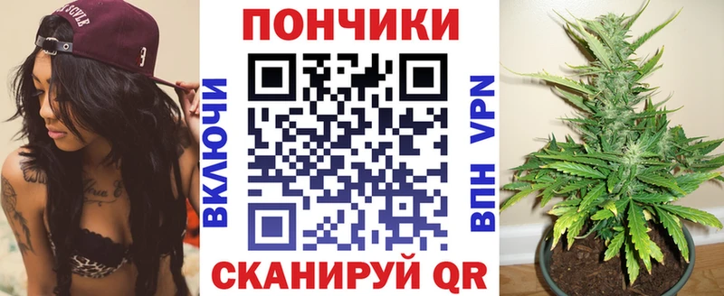 Бошки Шишки индика  Суздаль 